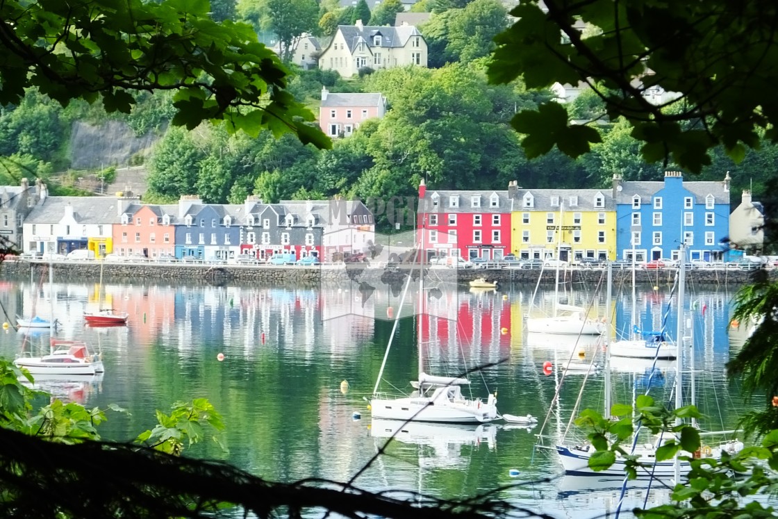 "Tobermory Harbour" stock image