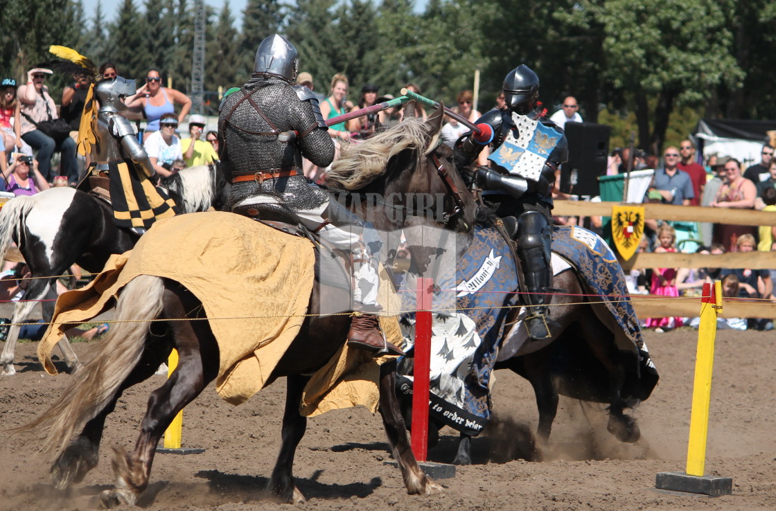 "Jousting Anyone" stock image