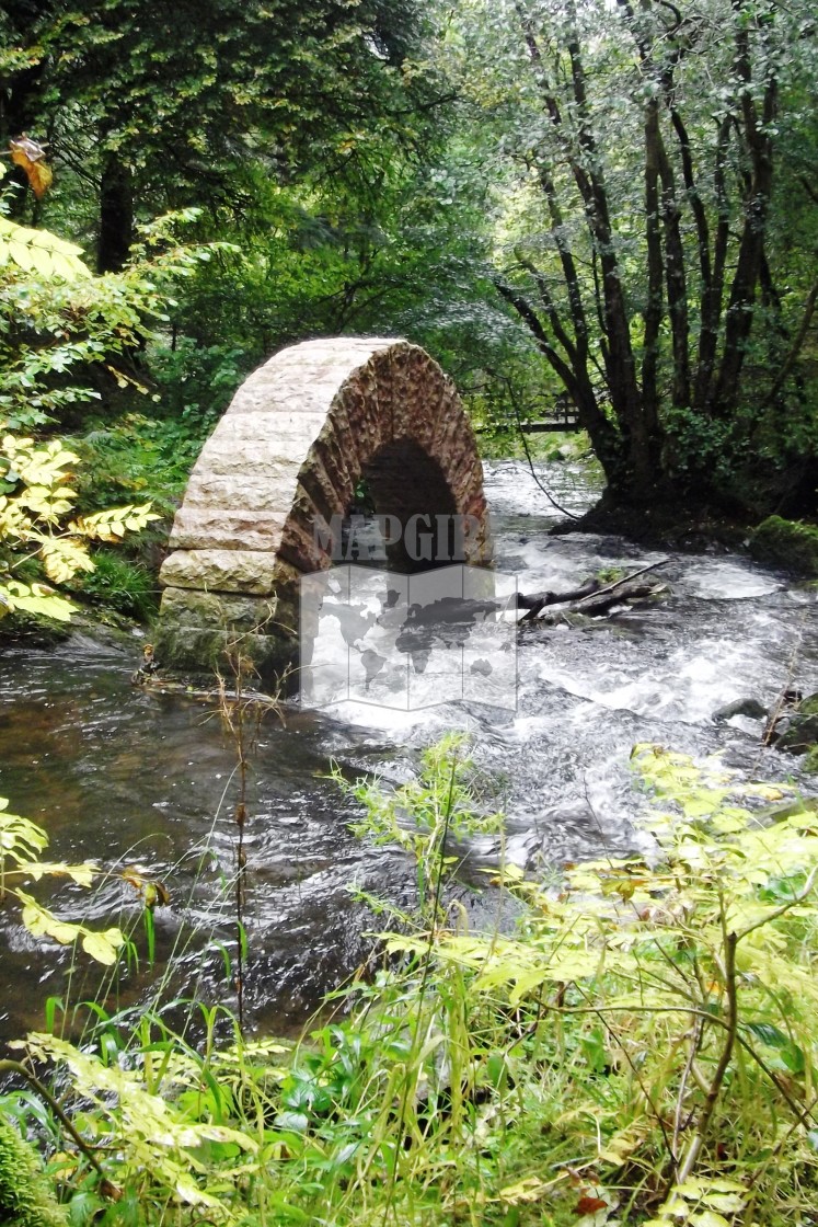 "Leaping Arch" stock image