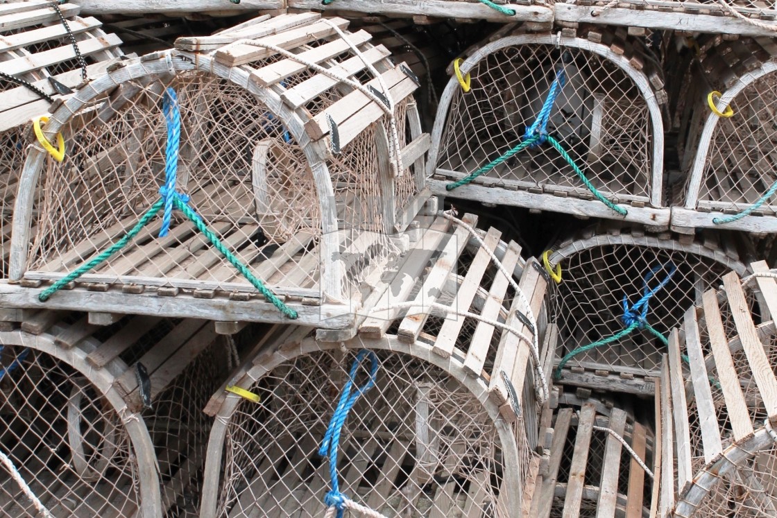 "Lobster Traps" stock image