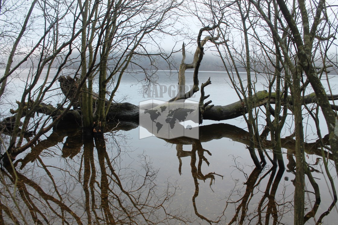 "Reflection on Loch Lomond" stock image