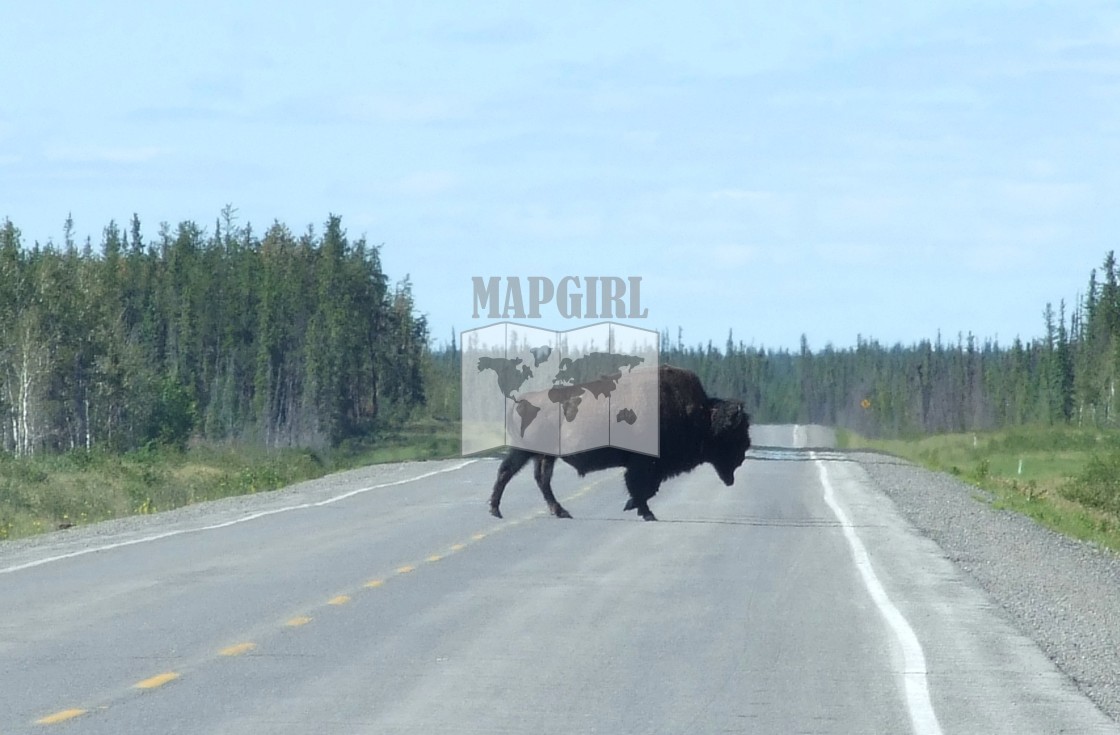 "Road Obstacle" stock image