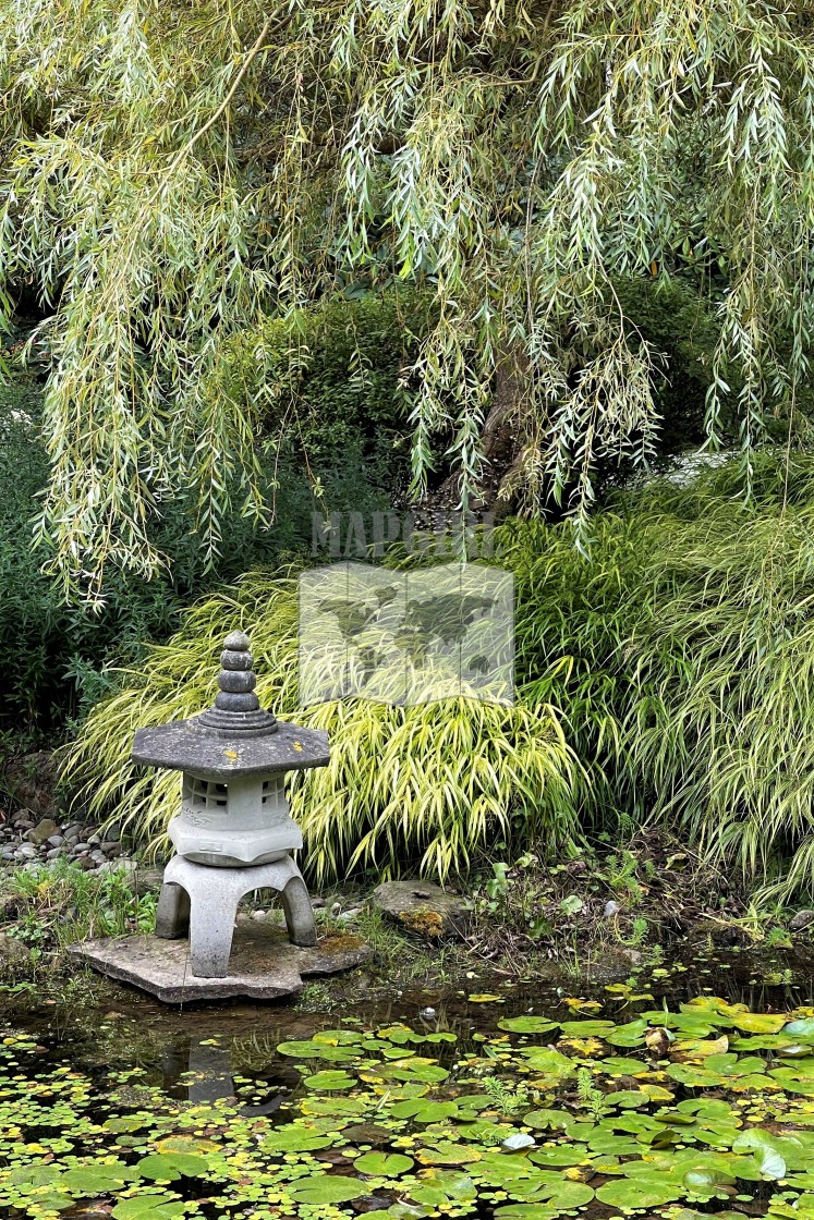 "Tranquil Pond" stock image