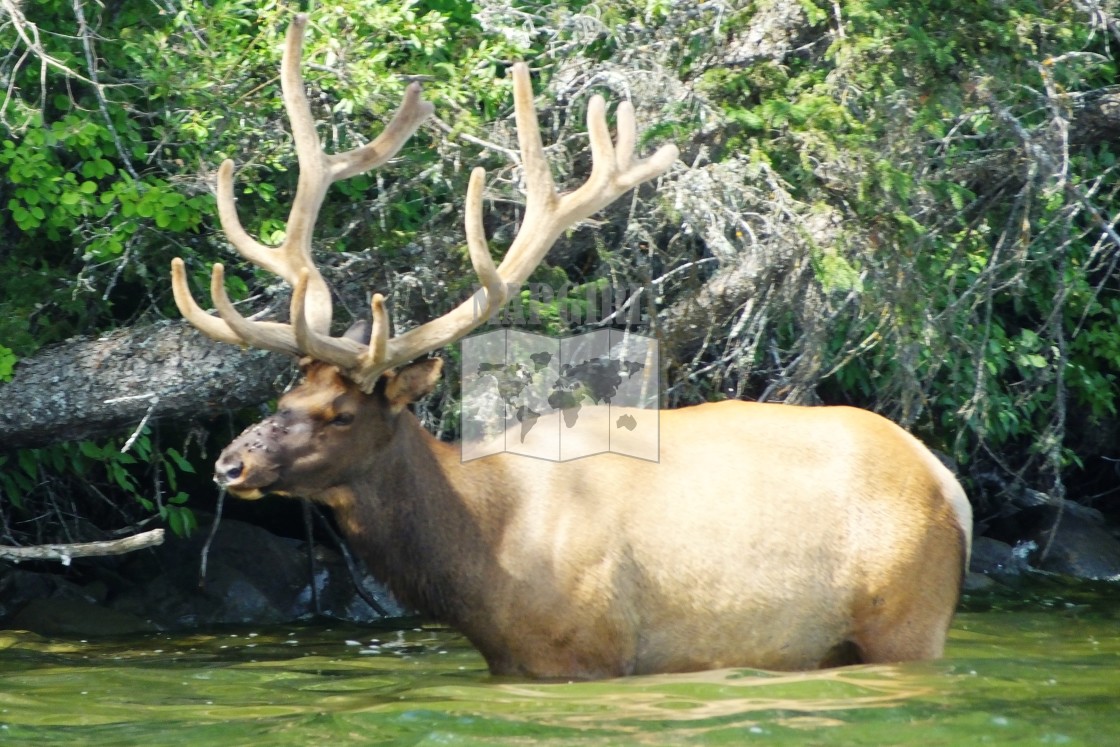 "Cooling Off" stock image