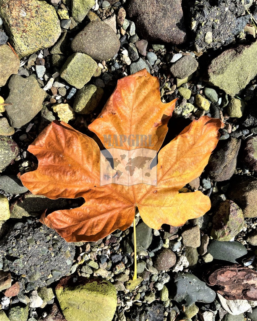 "oh Canada" stock image