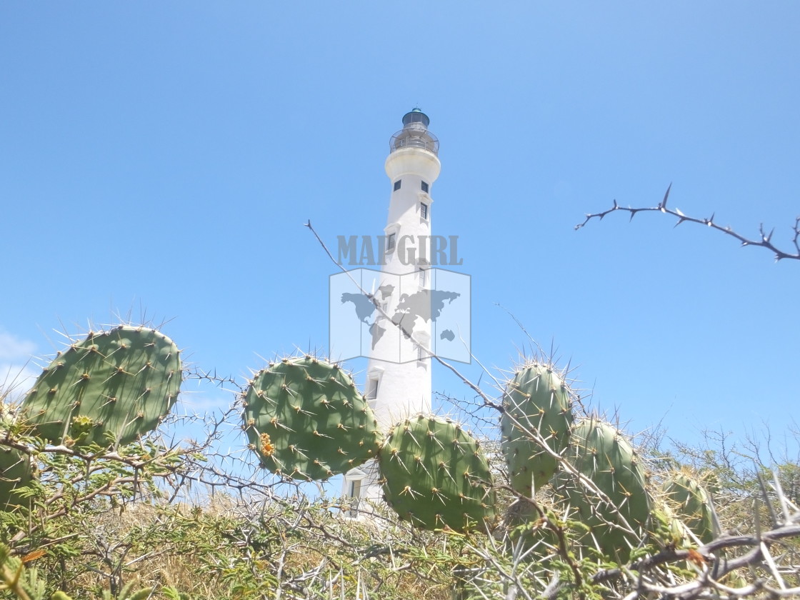 "California Lighthouse in Aruba" stock image