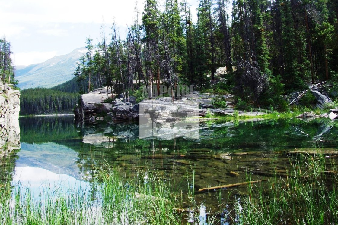 "Horseshoe Lake Reflection" stock image