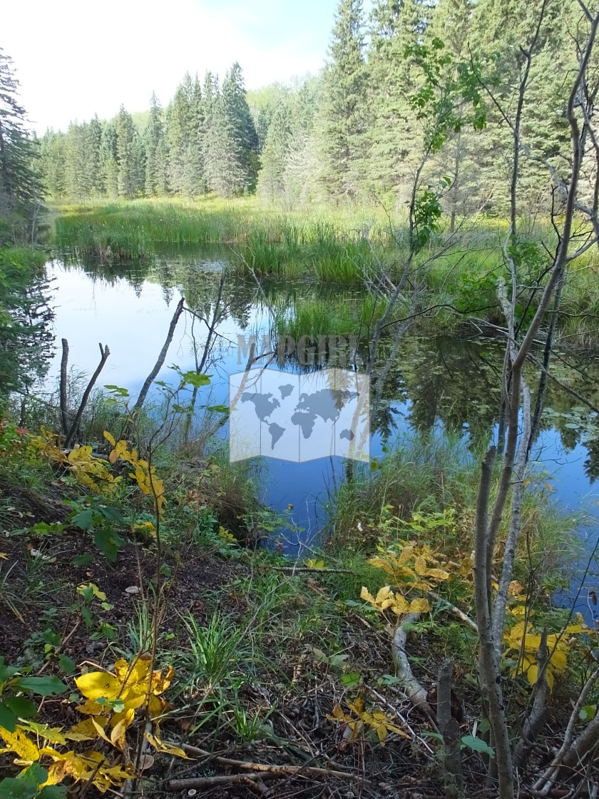 "Mud Creek" stock image