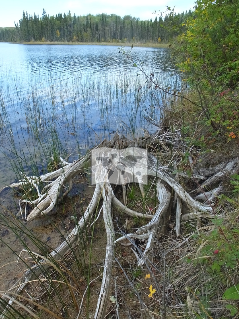 "Lakeside" stock image