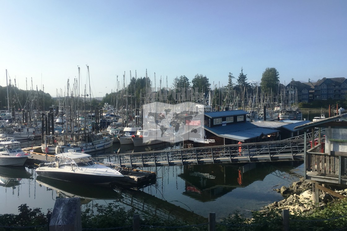 "Ucluelet Harbour" stock image