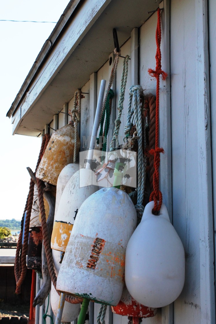 "Fishing Buoys" stock image