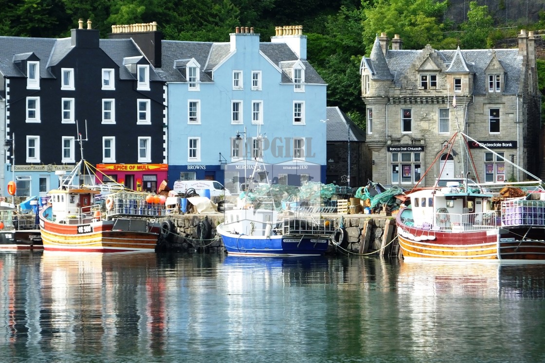 "Harbour Reflection" stock image