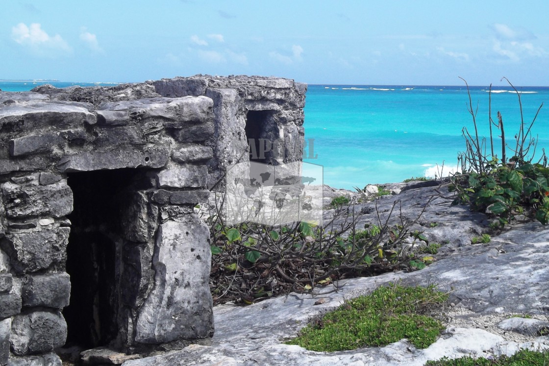 "Tulum Ruins" stock image