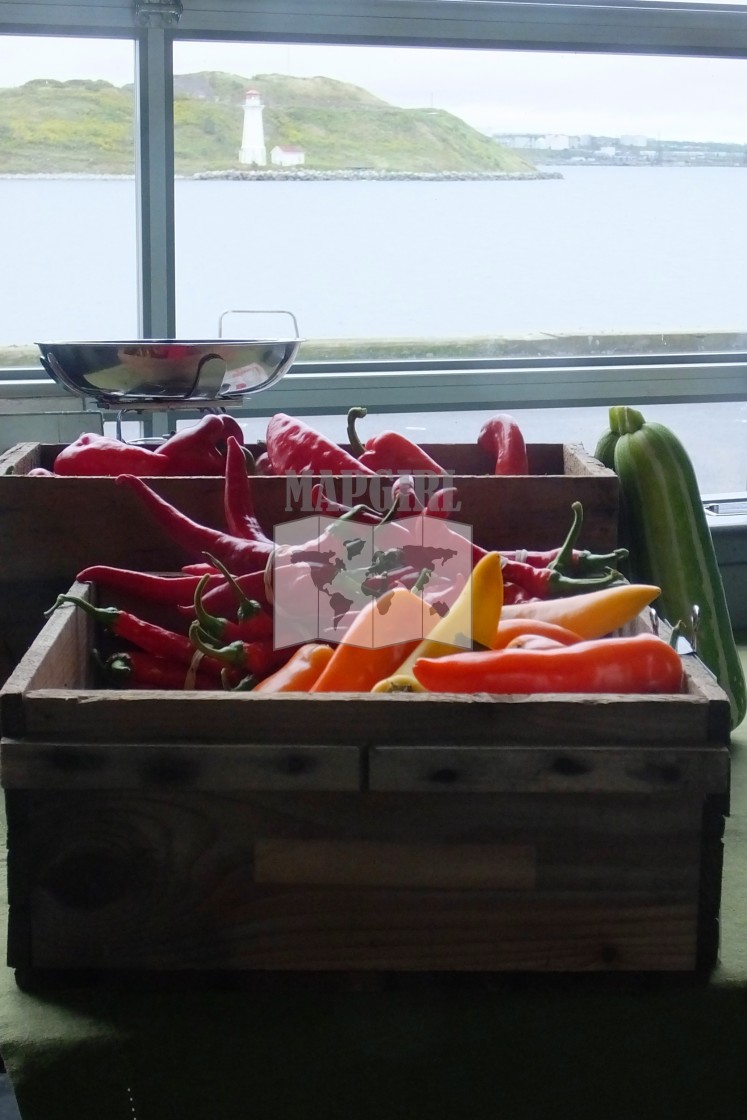 "Halifax Farmer's Market" stock image