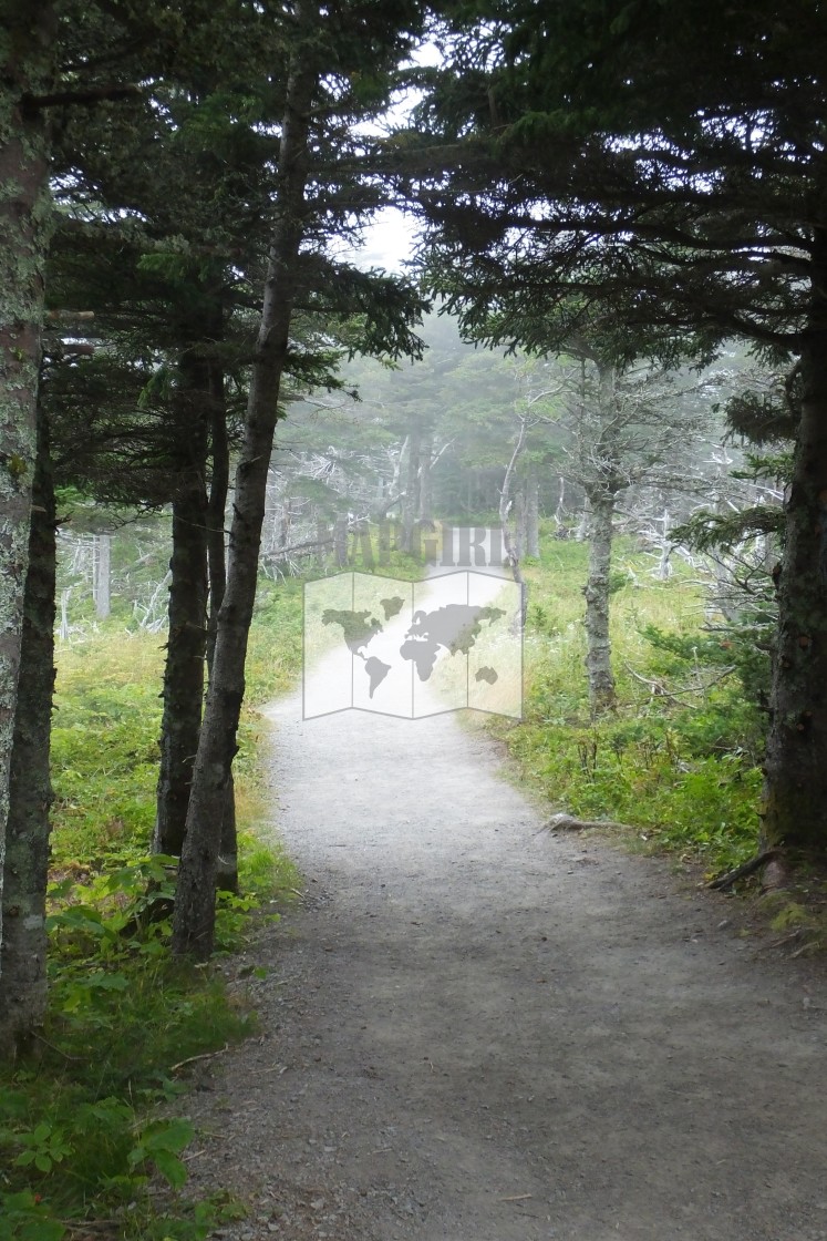 "WInding Path" stock image