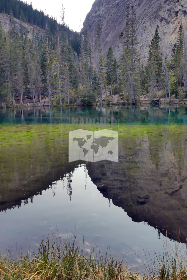 "Grassi Lakes" stock image