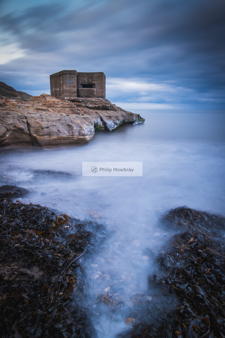 "Seaweed gathering at the Cornelian pillbox" by Philip Mowbray - £12.00 "Seaweed gathering at the Cornelian pillbox" stock image