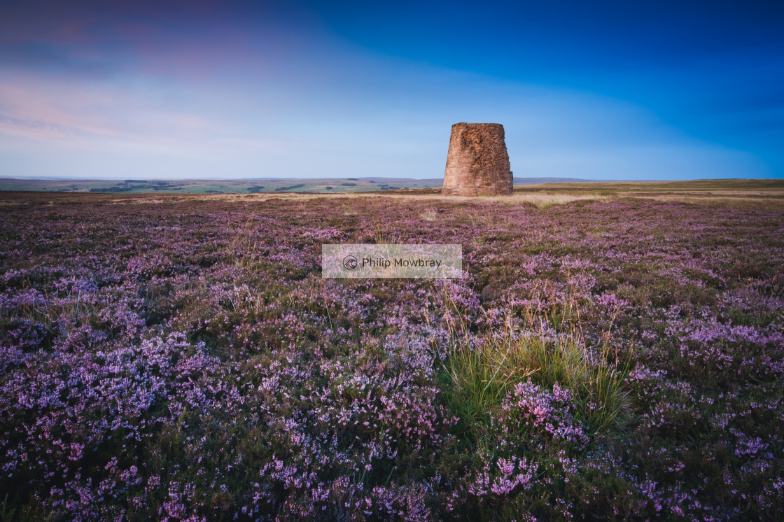 "Ruins of a lead smelting chimney among the blooming heather in the Allen Valleys, North Pennines, Northumberland" by Philip Mowbray - $14.79 "Ruins of a lead smelting chimney among the blooming heather in the Allen Valleys, North Pennines, Northumberland" stock image