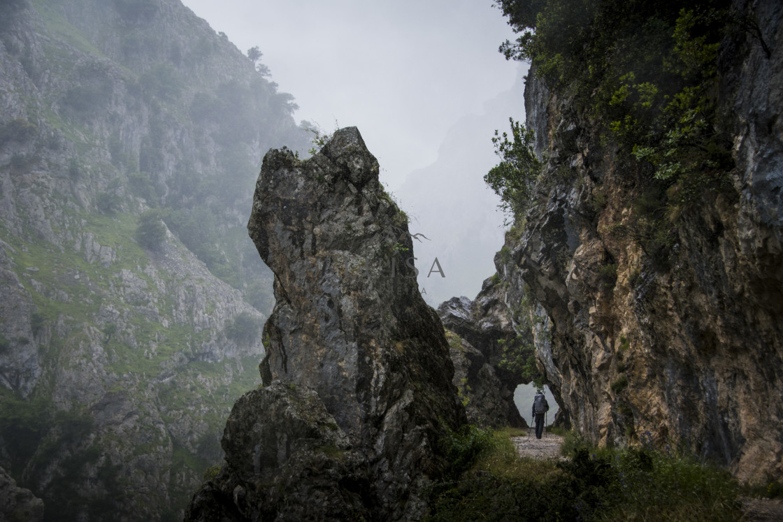 "Hiker walks along the trail in the cliffs" by Luísa Ferreira - $12.29 "Hiker walks along the trail in the cliffs" stock image