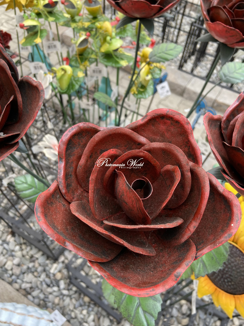 from $9.67
