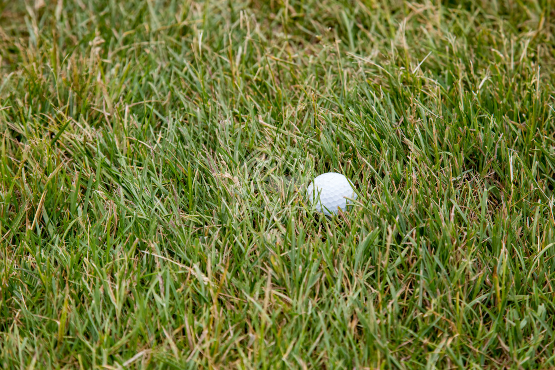 "Golf Ball in the Rough Grass" by Colin Temple - £4.04 "Golf Ball in the Rough Grass" stock image