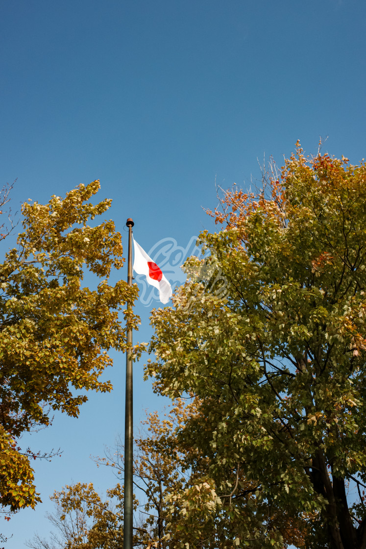 "A Japanese Flag (in Canada)" by Colin Temple - £4.04 "A Japanese Flag (in Canada)" stock image
