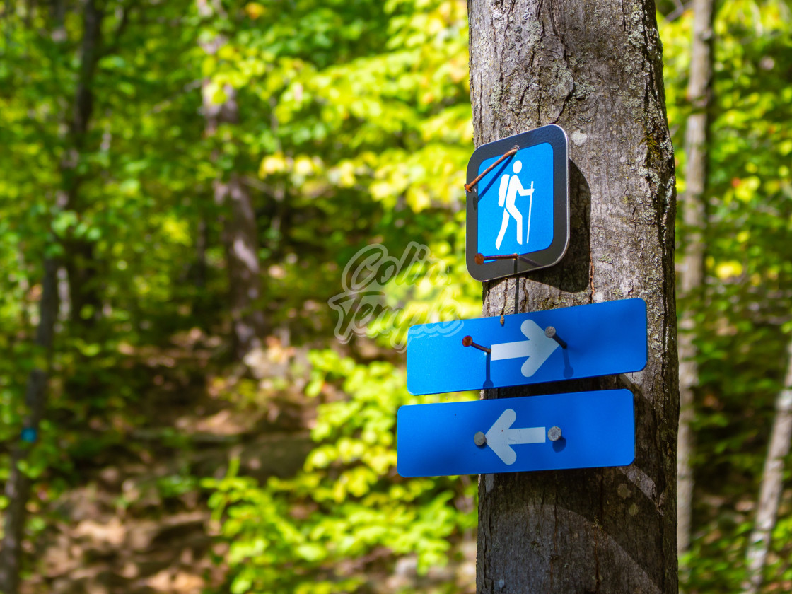 "Arrow Markers on a Trail Point Directions" by Colin Temple - £4.04 "Arrow Markers on a Trail Point Directions" stock image