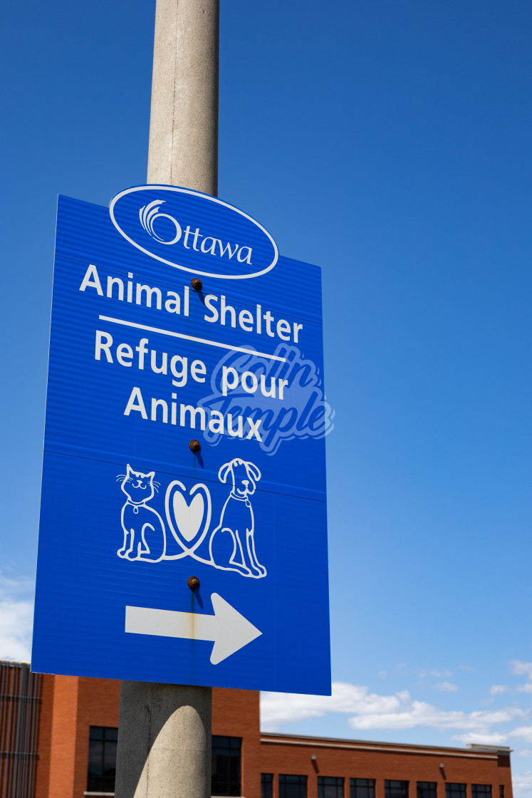 "City of Ottawa Animal Shelter sign" by Colin Temple - £4.04 "City of Ottawa Animal Shelter sign" stock image