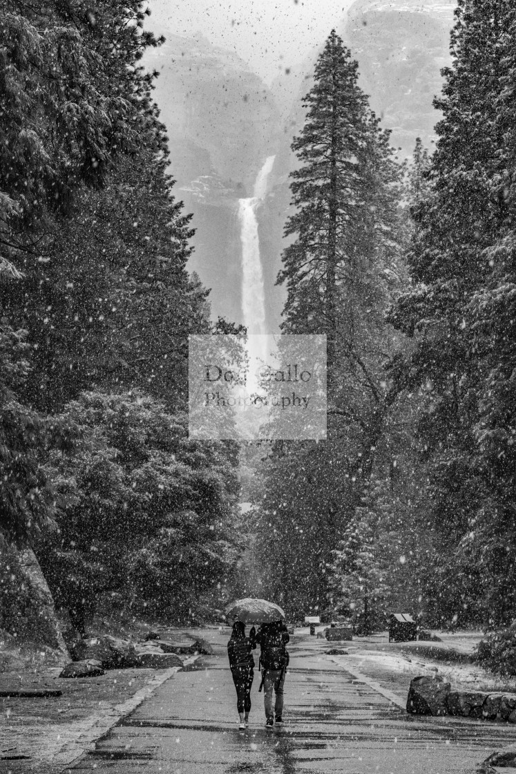 "Snowfall and Waterfall" stock image