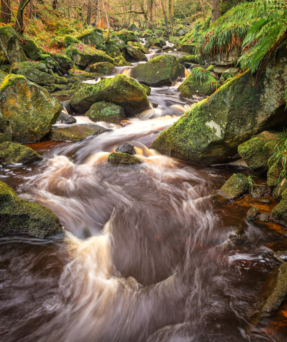 "Padley Gorge in Autumn" stock image