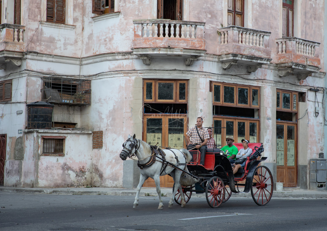 "Horse carriage in Havana" stock image