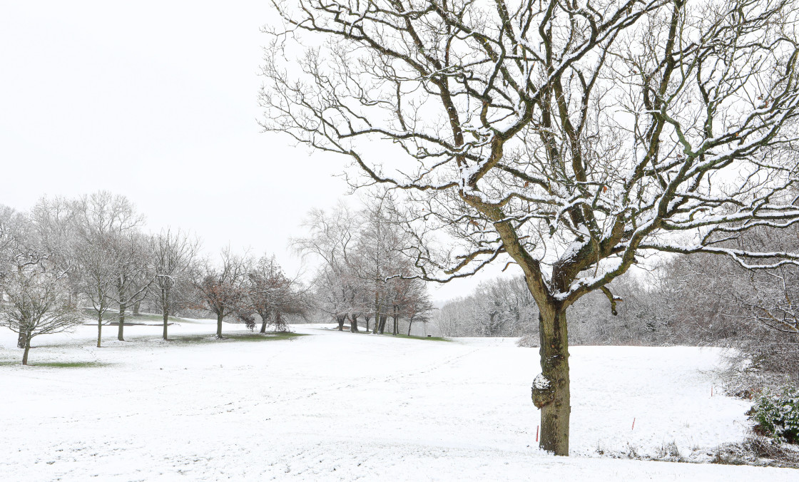 "Winter landscape" stock image