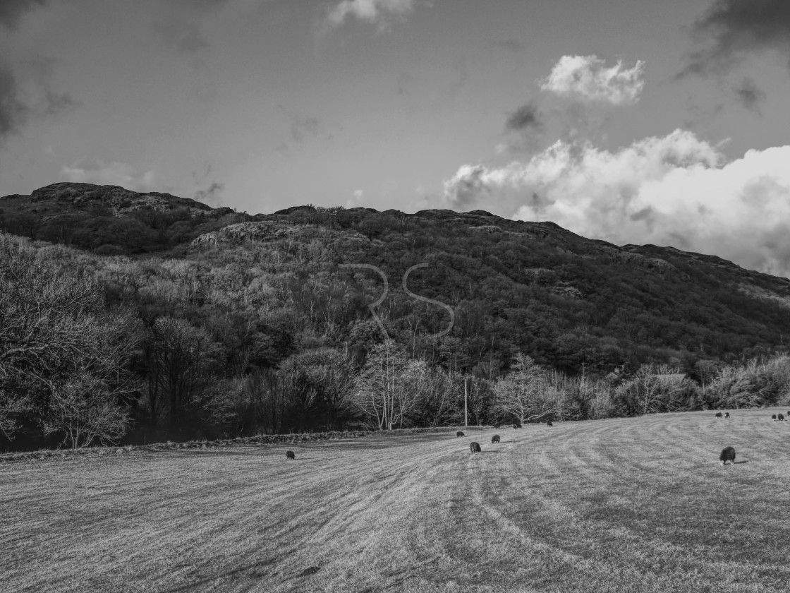 "The Rolling Hills" by Richard Sugden - £5.00 "The Rolling Hills" stock image
