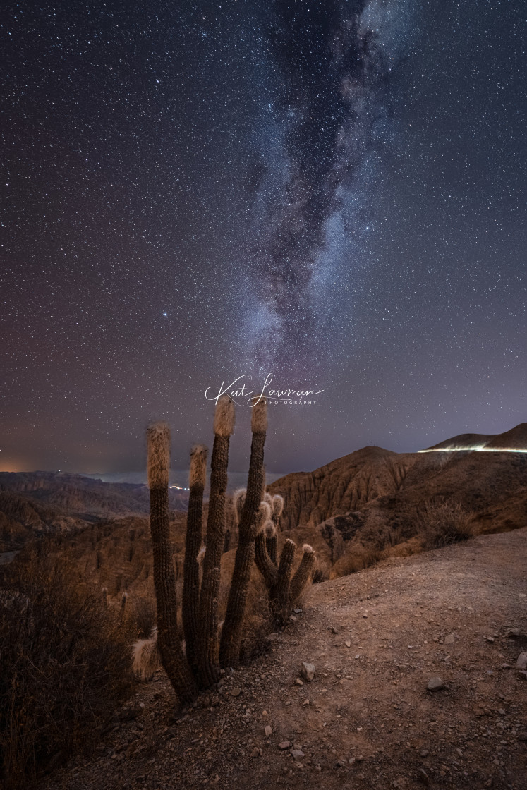 "Milky way rising over a roadside cactus, Bolivia" stock image