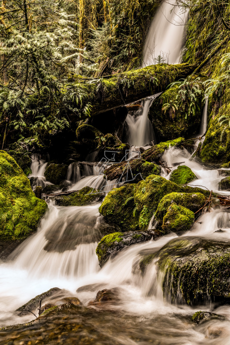 "Rainforest Waterfall" stock image