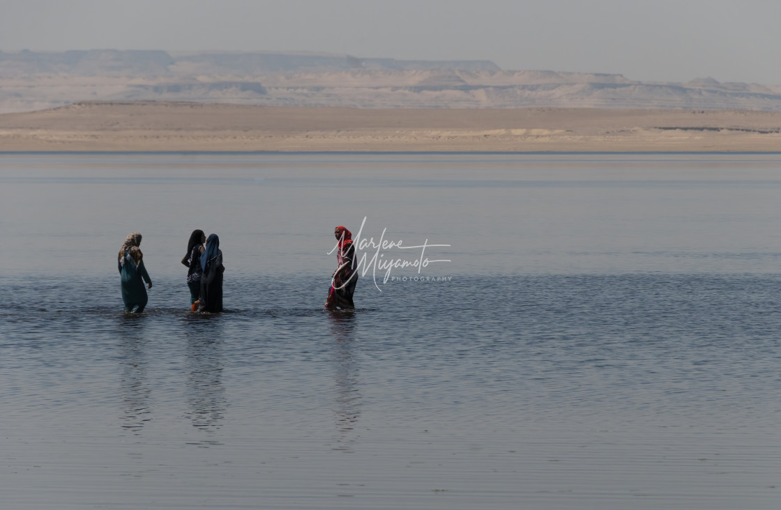 "Fayoum Oasis #1" stock image