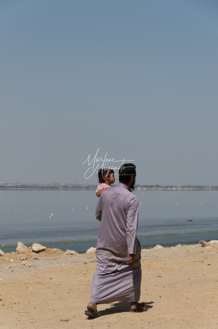 "Fayoum Oasis #5" stock image