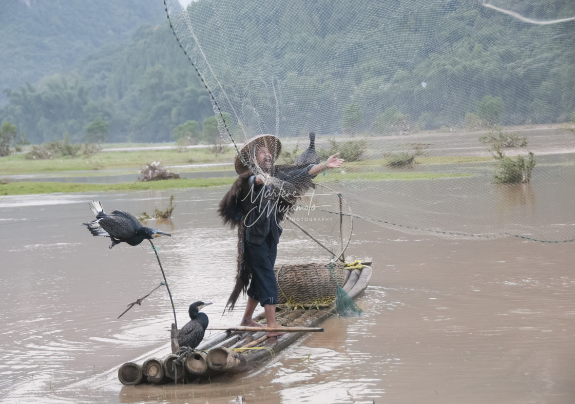 "Cormorant Fisherman Throwing His Net 3" stock image