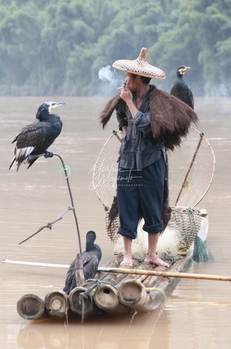 "Cormorant Fisherman Taking a Break" stock image