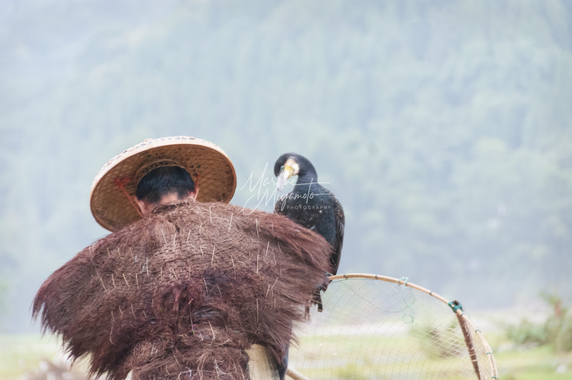 "Cormorant Fisherman Wearing Traditional Cape and His Cormorant" stock image