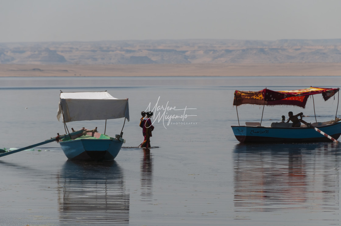 "Fayoum Oasis #8" stock image