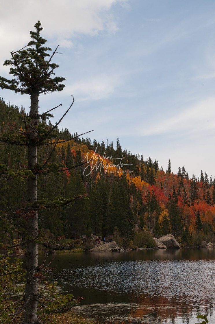 "Rocky Mountain Fall V" stock image