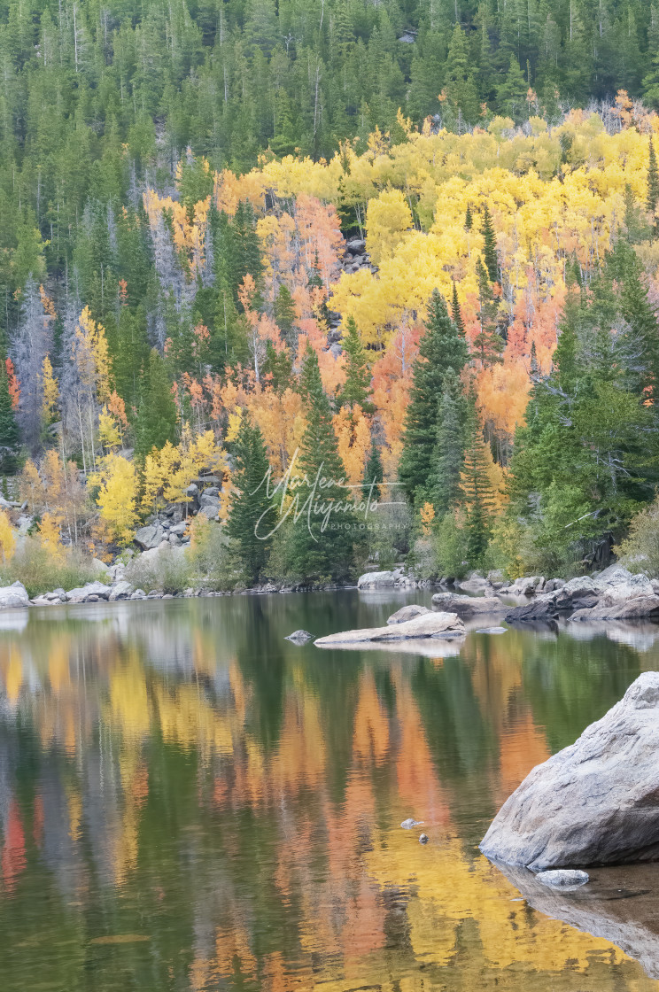 "Rocky Mountain Fall I" stock image