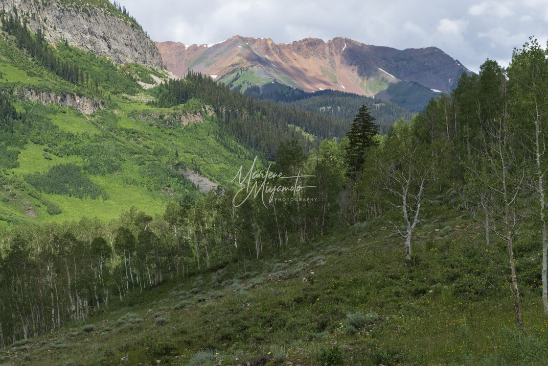 "Crested Butte Mountain Scape" stock image