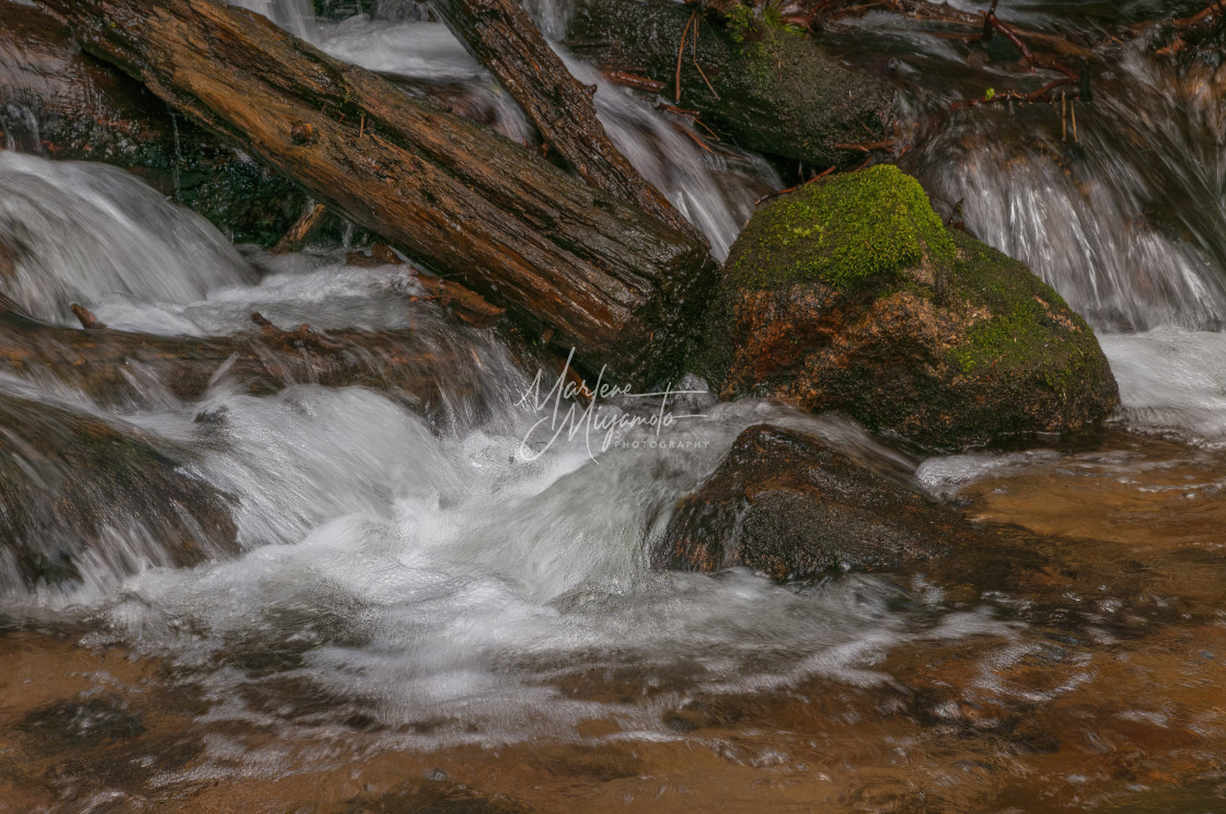 "Hidden Valley Colorado Stream" stock image