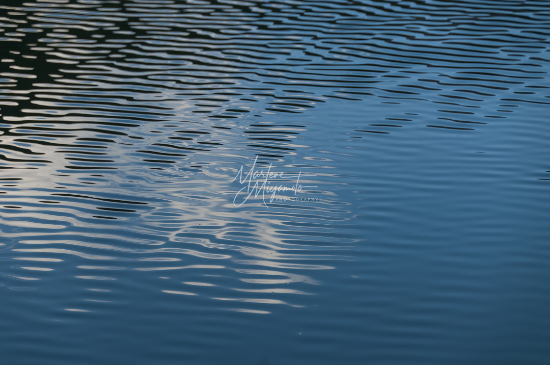 "Reflective Ripple Abstract IV" stock image