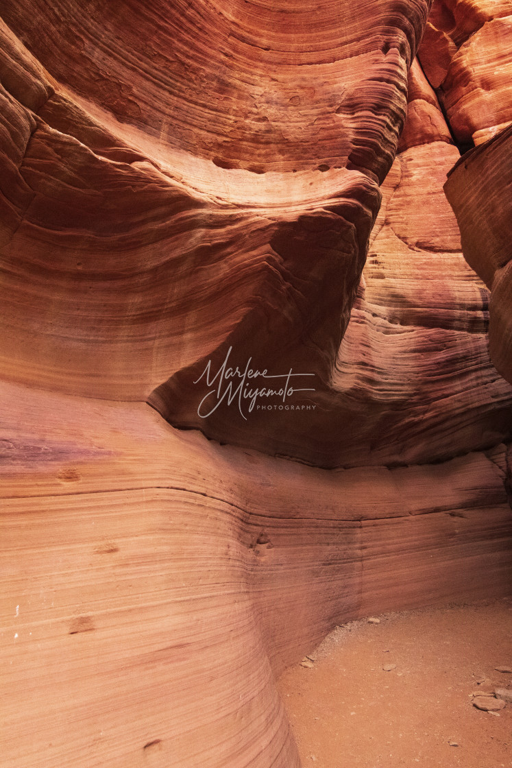 "Peek-A-Boo/Red Slot Canyon, Utah I" by Marlene Miyamoto - $24.69 "Peek-A-Boo/Red Slot Canyon, Utah I" stock image