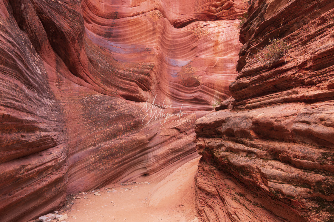 "Peek-A-Boo/Red Slot Canyon, Utah VIII" stock image