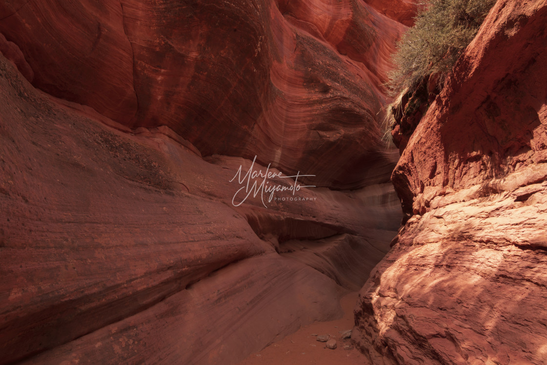 "Peek-A-Boo/Red Slot Canyon, Utah X" stock image