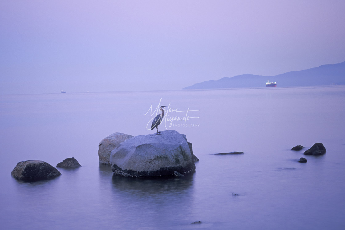 "Morning in Vancouver" stock image